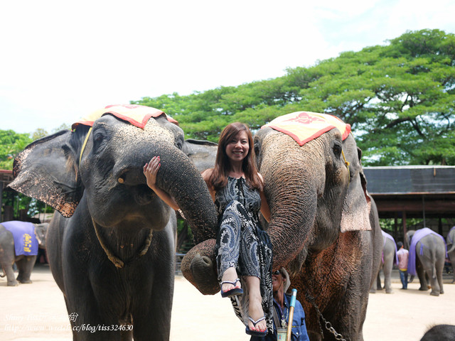 泰國東芭樂園,泰國大象表演,東芭樂園 @TISS玩味食尚