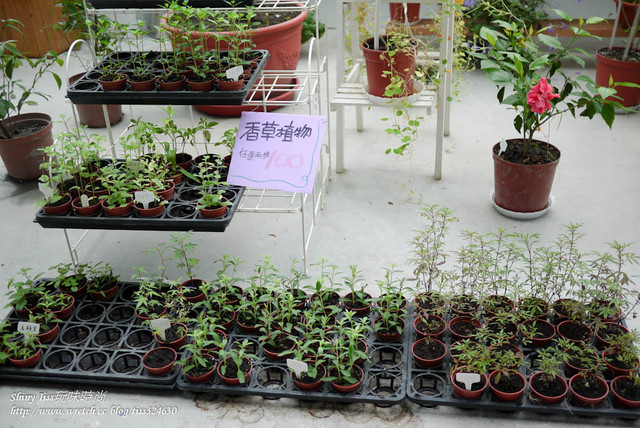 【宜蘭室內景點推薦】香草菲菲門票可折抵DIY，宜蘭雨天好去處