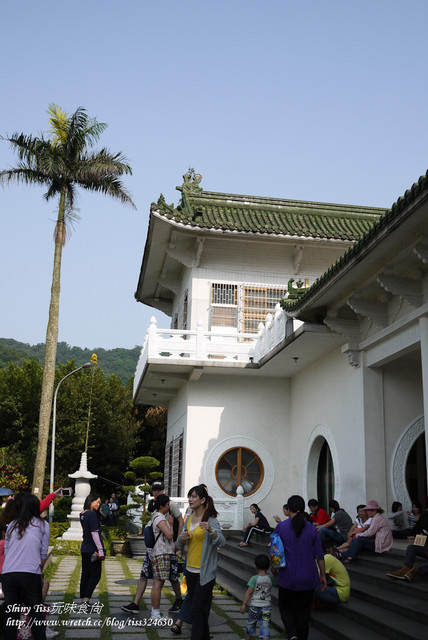 [遊記]土城桐花公園-桐花季賞桐花記