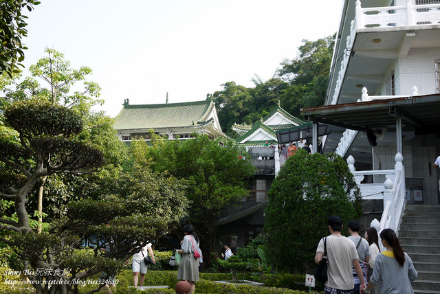 [遊記]土城桐花公園-桐花季賞桐花記