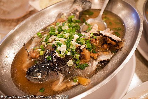 [食記]大屯花卉農場食記-拍婚紗、玩水、賞花