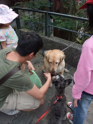 [伉儷出遊]三峽大阪根