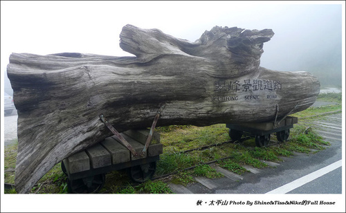 太平山國家森林遊樂區｜翠峰湖、雲海咖啡館、蹦蹦車