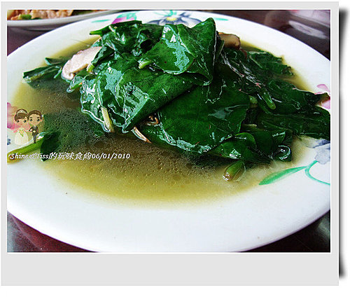 陽明山野菜餐廳推薦｜陽明山大樹下｜有包廂的餐廳｜小饅頭好吃