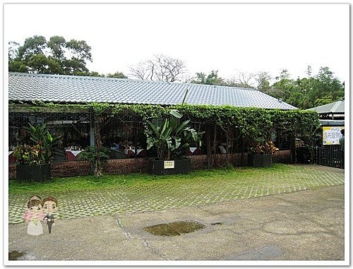 下午茶｜春天農場｜寵物咖啡館｜很適合多人聚會的好地方