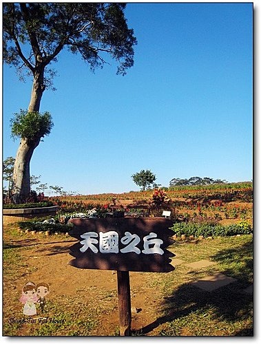 大溪親子景點｜大溪花海農場｜北台灣最大的花園景觀