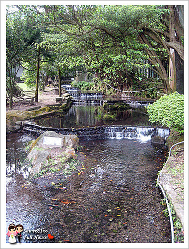 陽明山小公園+海芋田