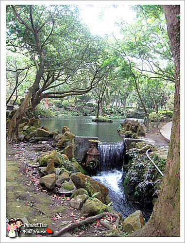 陽明山小公園+海芋田