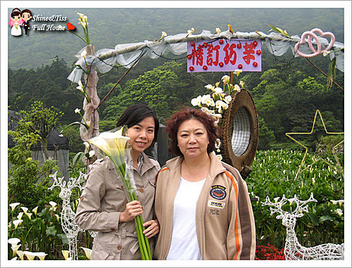 陽明山小公園+海芋田