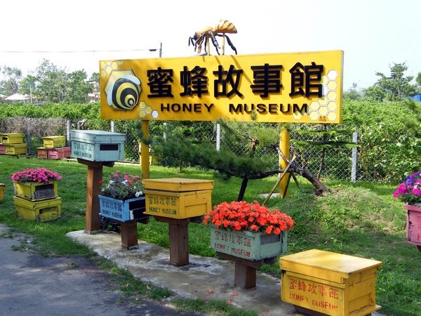 【雲林景點推薦】蜜蜂故事館，免費參觀，順遊古坑綠色隧道公園