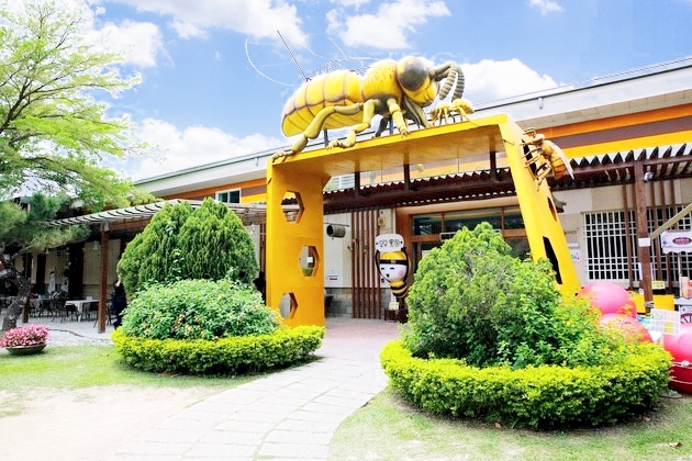 【雲林景點推薦】蜜蜂故事館，免費參觀，順遊古坑綠色隧道公園