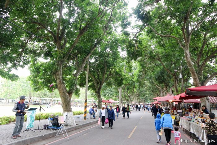 【雲林景點推薦】蜜蜂故事館，免費參觀，順遊古坑綠色隧道公園