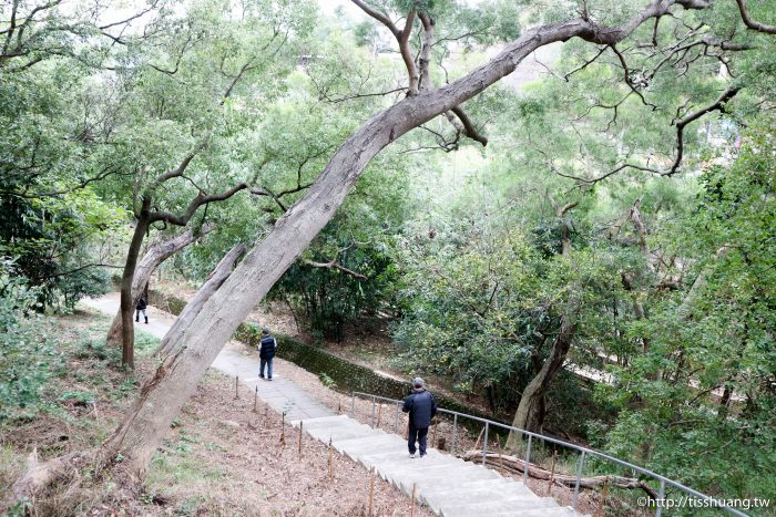 苗栗一日遊行程推薦｜明德水庫日新島｜客家圓樓｜功維敘隧道｜苗栗景點推薦