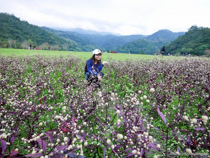 2019宜蘭最新景點｜Herbelle龍潭湖畔悠活園區｜宜蘭礁溪IG打卡熱點｜白色貨櫃屋