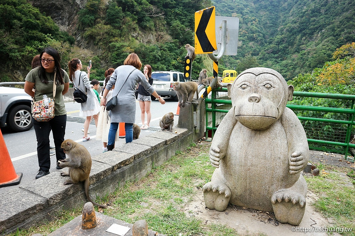 花東一日遊｜玉長公路賞美景｜登仙橋猴子公園看猴子｜花蓮景點推薦｜台東景點推薦