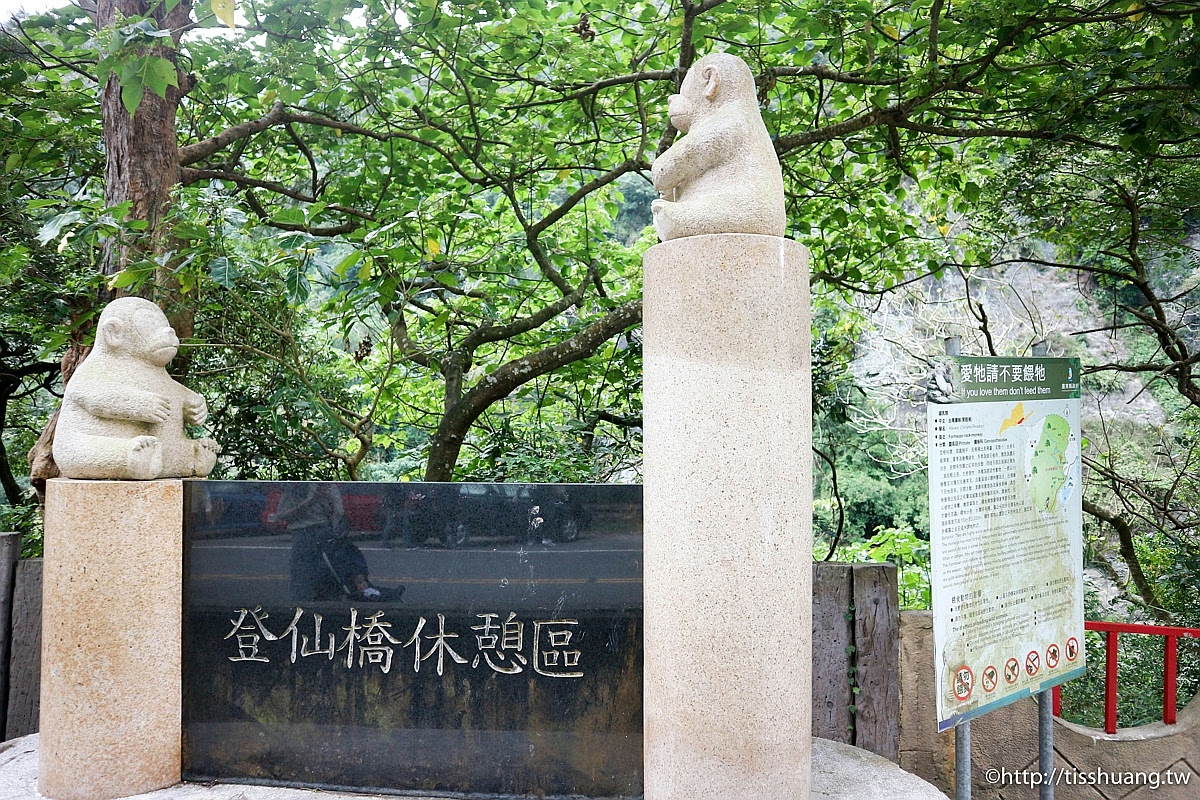 花東一日遊｜玉長公路賞美景｜登仙橋猴子公園看猴子｜花蓮景點推薦｜台東景點推薦