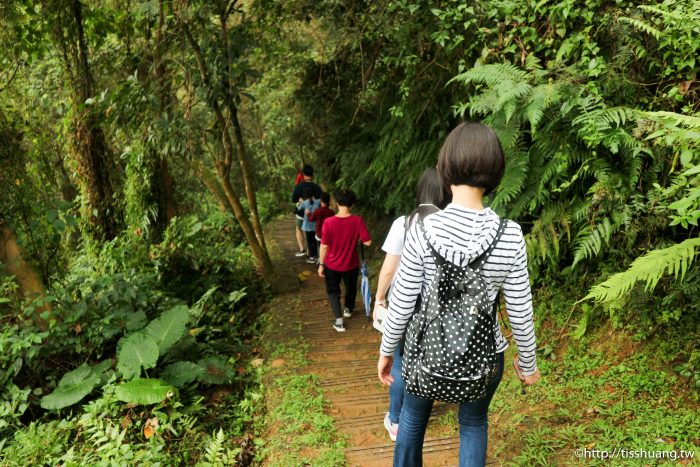 花蓮秘境｜ 國福里花海X撒固兒步道瀑布｜花蓮人推薦的私房景點