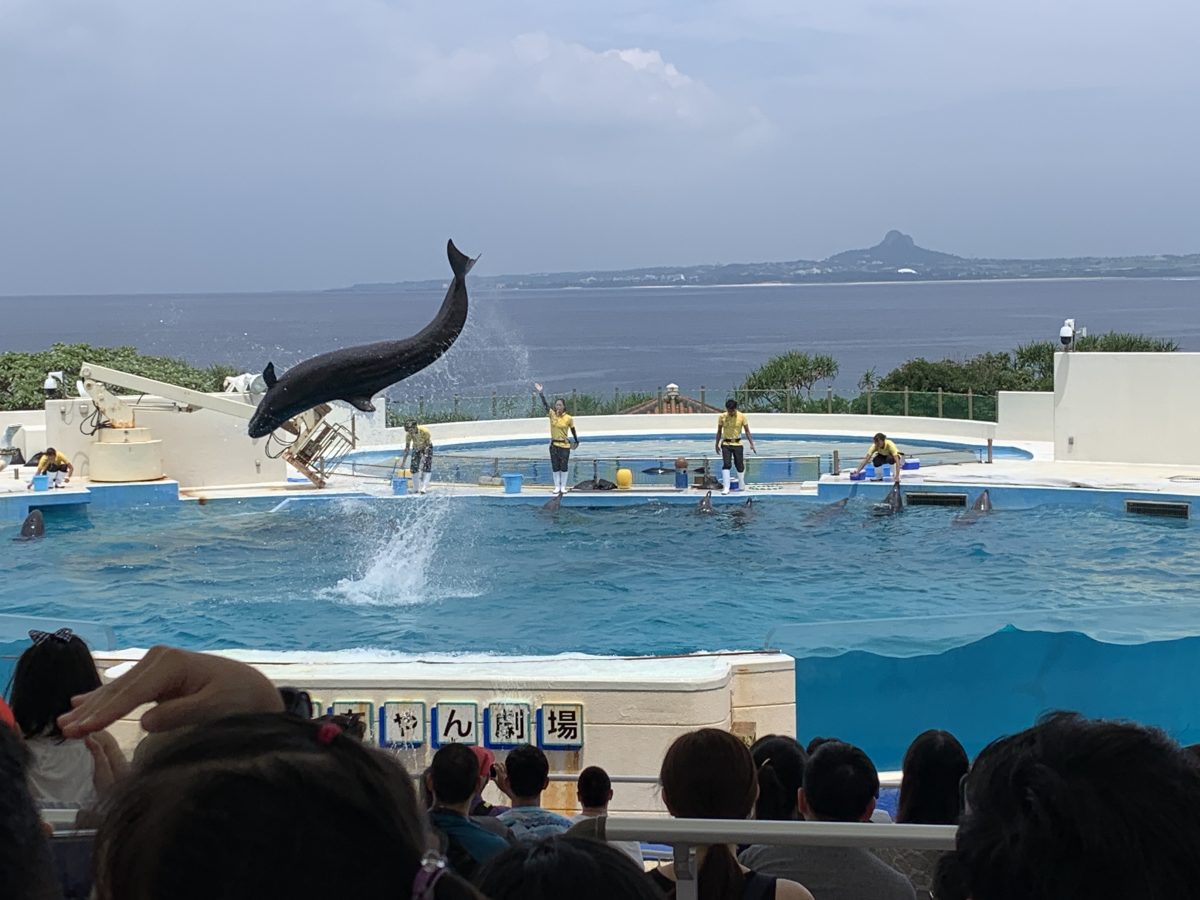 沖繩美麗海水族館