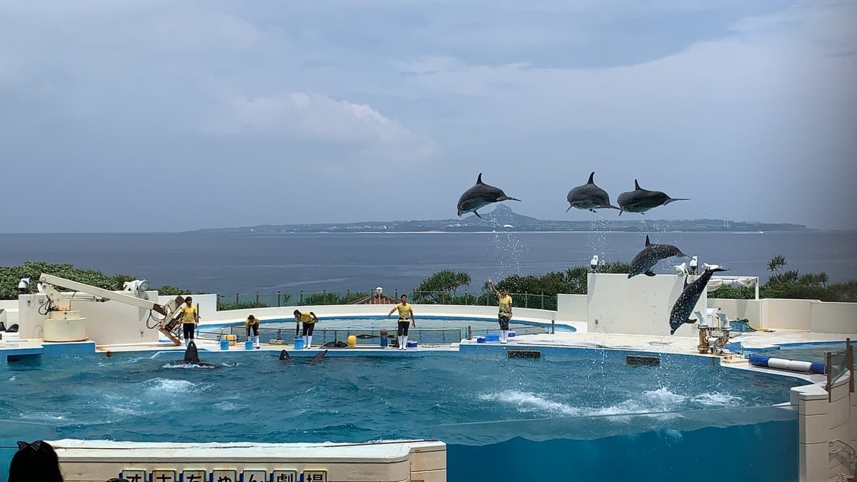 沖繩美麗海水族館