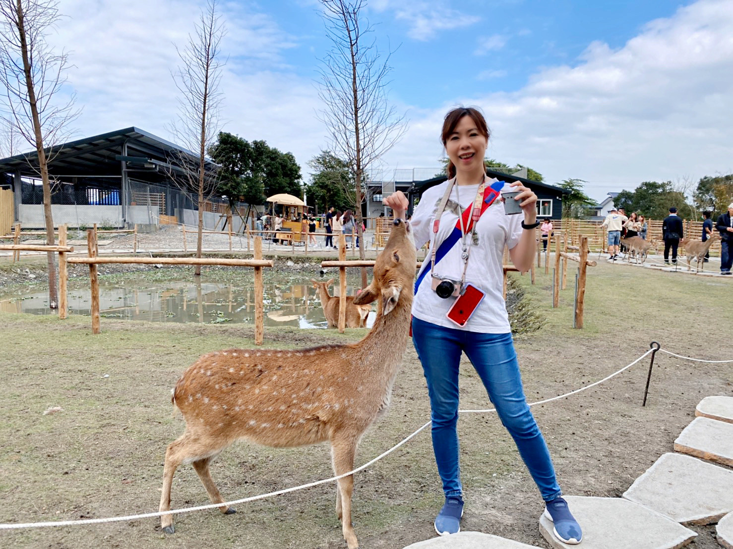 宜蘭斑比山丘｜宜蘭餵動物景點｜來找小鹿斑比玩，梅花湖附近景點推薦