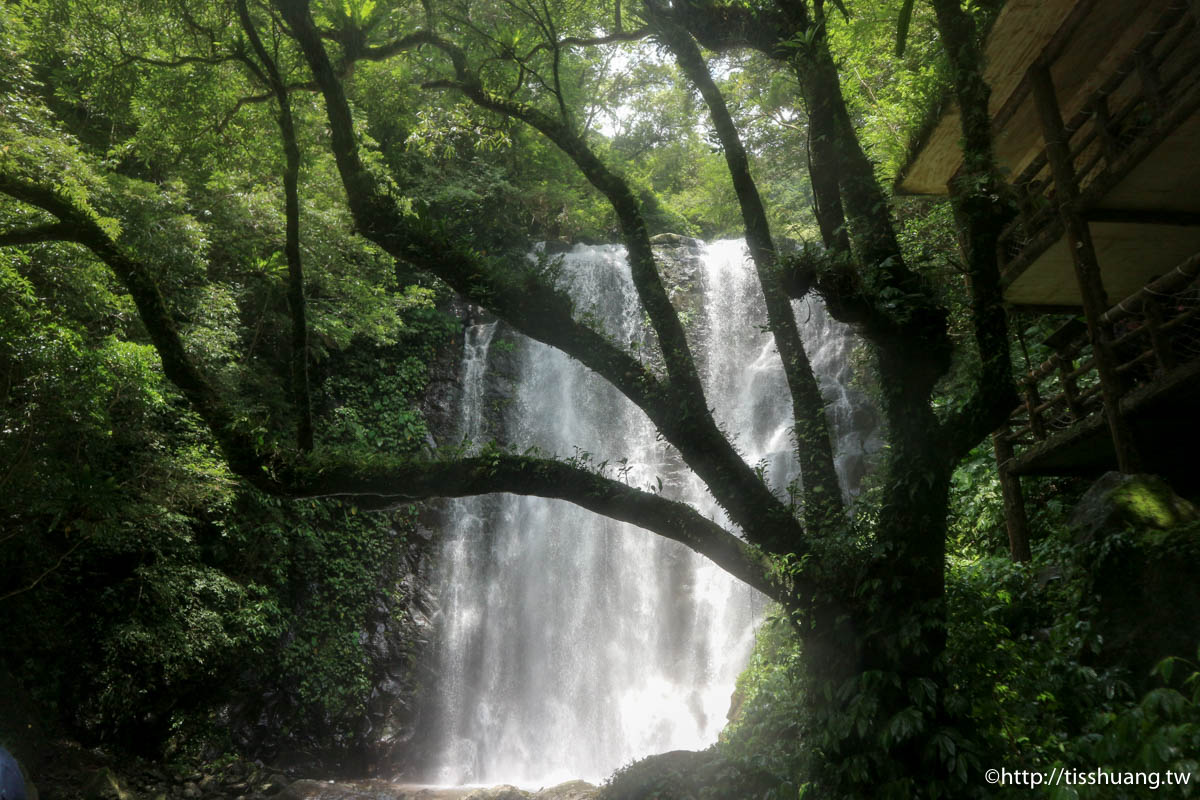 三峽超熱門親子景點｜滿月圓國家森林遊樂區｜好走山林步道｜免費入園一次