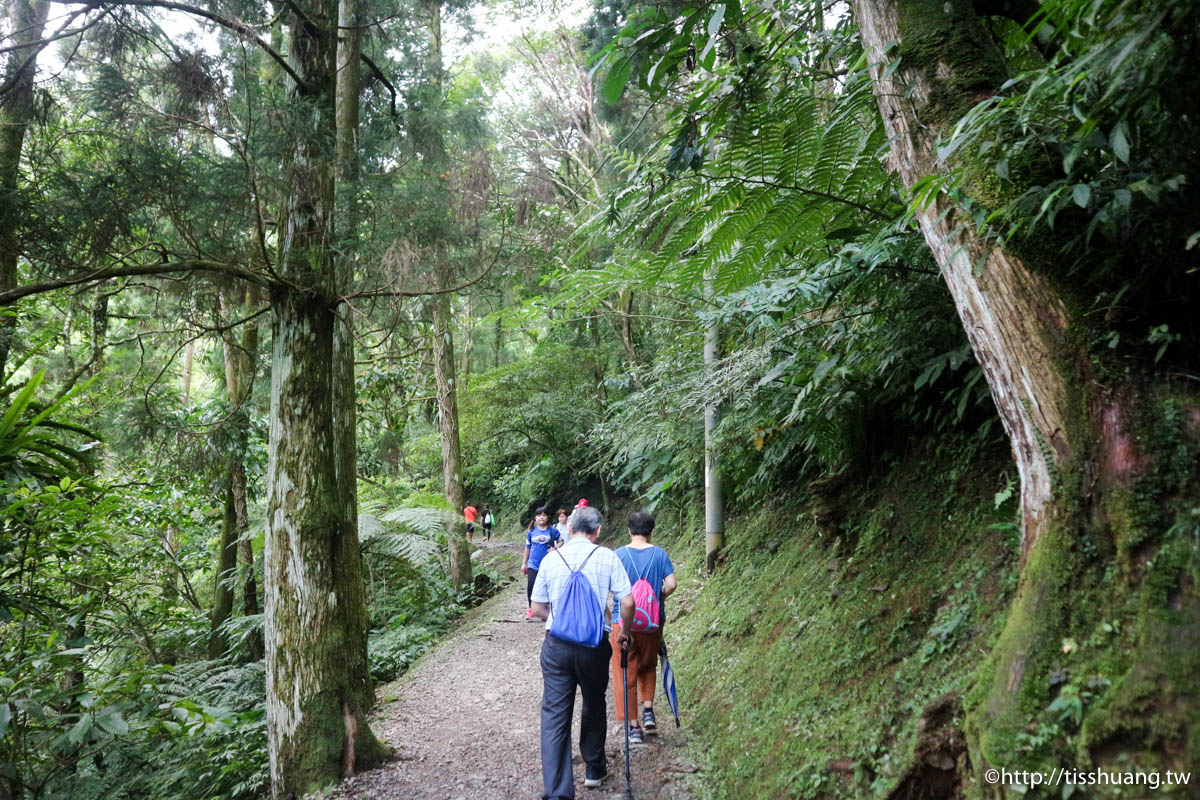 三峽超熱門親子景點｜滿月圓國家森林遊樂區｜好走山林步道｜免費入園一次