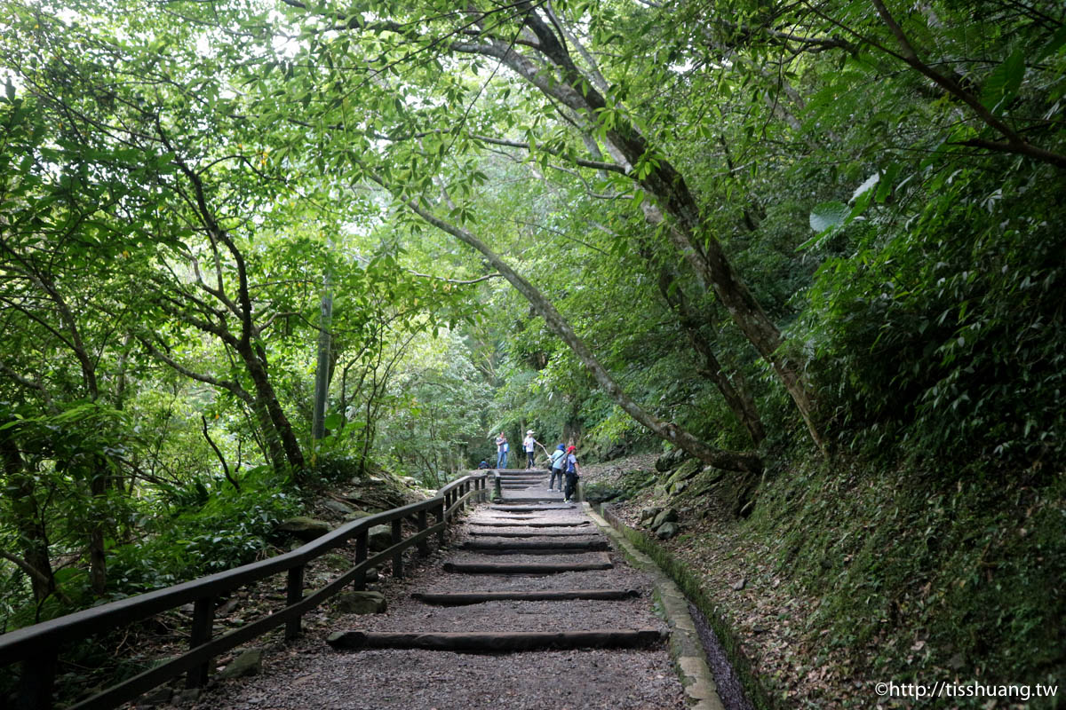 三峽超熱門親子景點｜滿月圓國家森林遊樂區｜好走山林步道｜免費入園一次