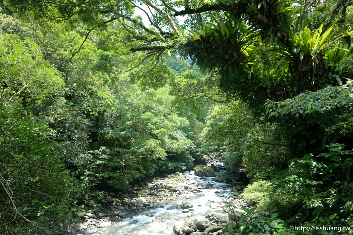 三峽超熱門親子景點｜滿月圓國家森林遊樂區｜好走山林步道｜免費入園一次