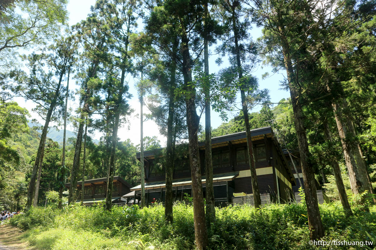 三峽超熱門親子景點｜滿月圓國家森林遊樂區｜好走山林步道｜免費入園一次