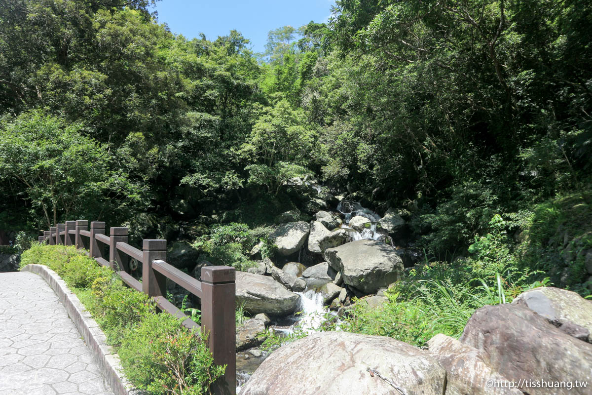 三峽超熱門親子景點｜滿月圓國家森林遊樂區｜好走山林步道｜免費入園一次