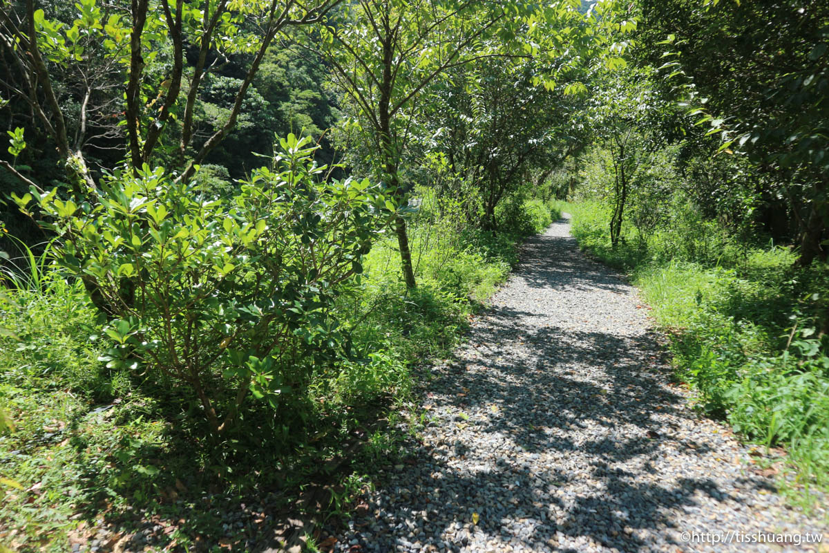 三峽超熱門親子景點｜滿月圓國家森林遊樂區｜好走山林步道｜免費入園一次