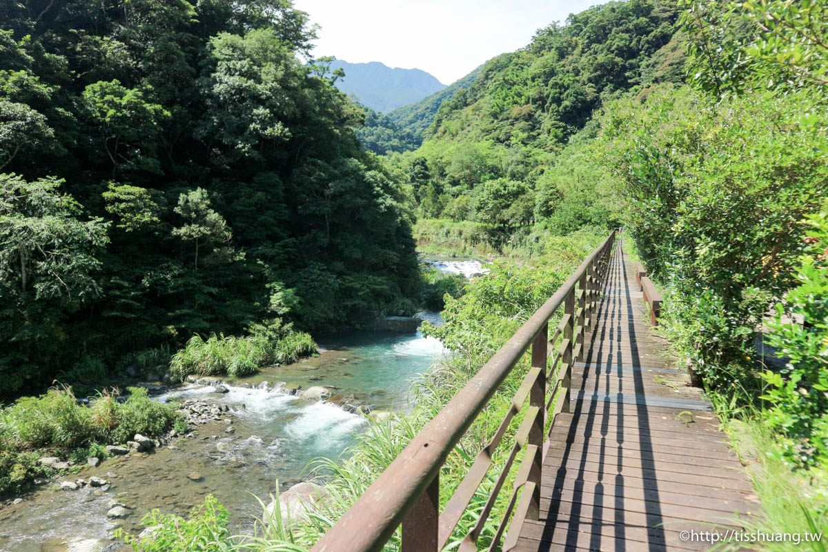 三峽超熱門親子景點｜滿月圓國家森林遊樂區｜好走山林步道｜免費入園一次