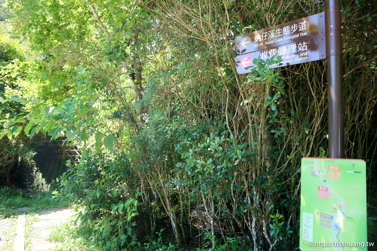 三峽超熱門親子景點｜滿月圓國家森林遊樂區｜好走山林步道｜免費入園一次