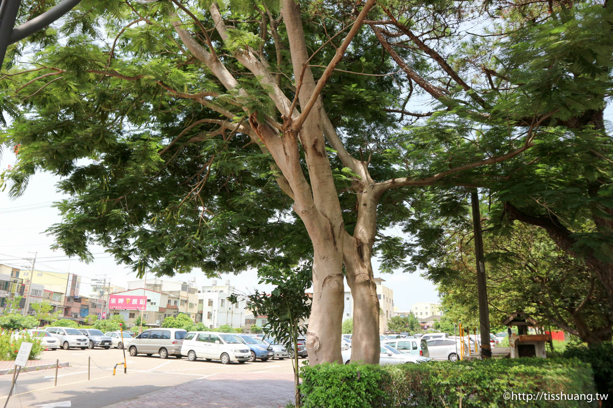 台中觀光工廠｜台糖月眉觀光糖廠｜月眉糖廠至麗寶樂園免費接駁車