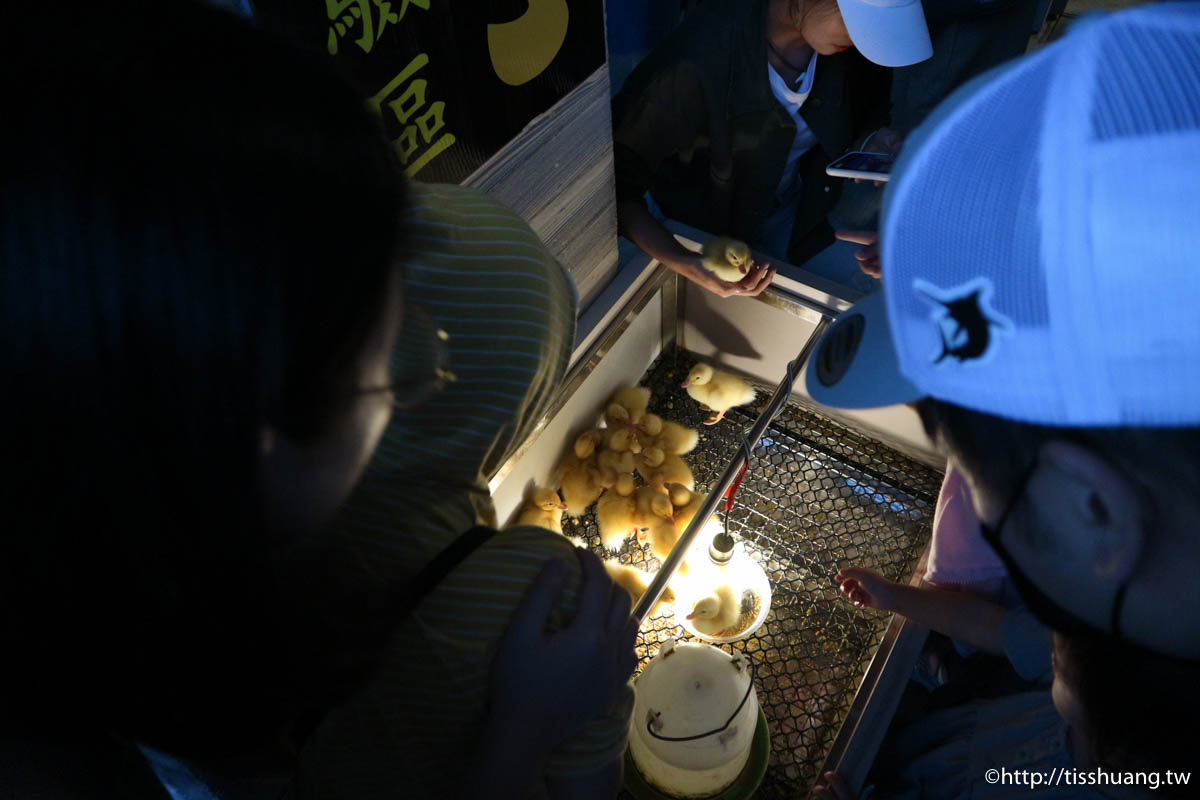 宜蘭礁溪親子景點｜可愛的黃色小鴨就在甲鳥園｜體驗餵鴨鴨抱鴨鴨門票只要100元可全額抵消費