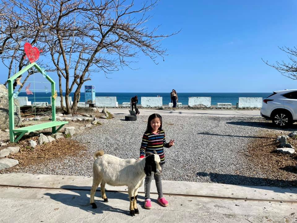 花蓮Pony Cafe｜通往天空的階梯｜海平線的美｜餵食各種小動物｜好玩、好拍的花蓮景點｜附菜單