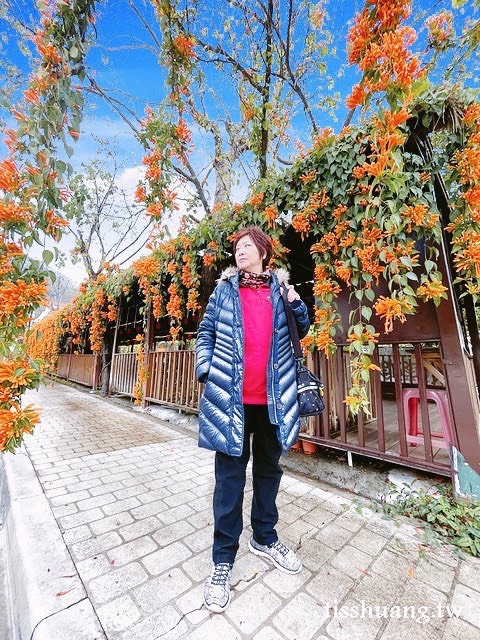 桃園復興鄉景點｜小烏來天空步道、羅浮泰雅溫泉公園｜桃園一日遊景點推薦