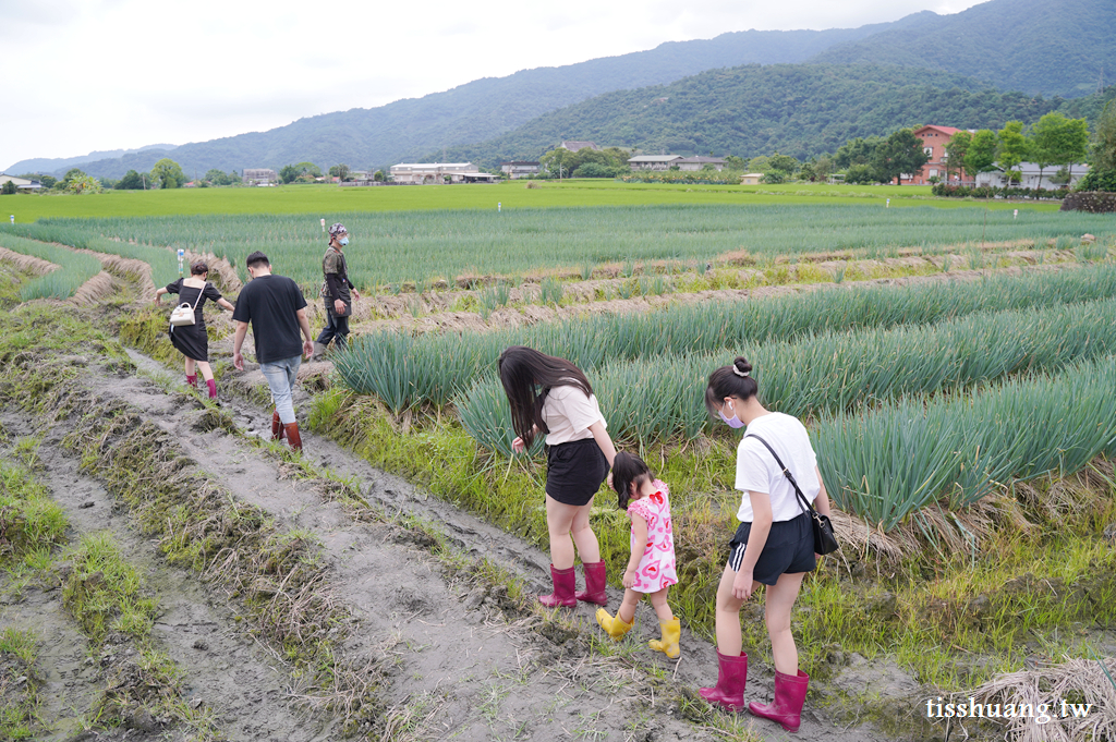 宜蘭星寶蔥體驗農場｜三星蔥派DIY體驗｜零距離餵食可愛的梅花鹿與小驢駒