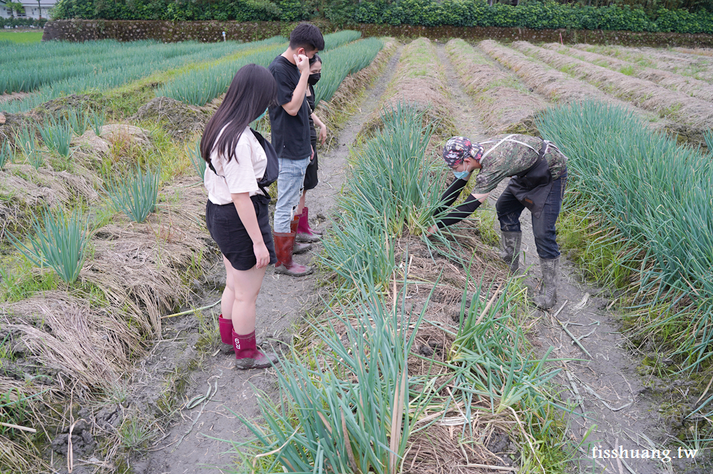 宜蘭星寶蔥體驗農場｜三星蔥派DIY體驗｜零距離餵食可愛的梅花鹿與小驢駒