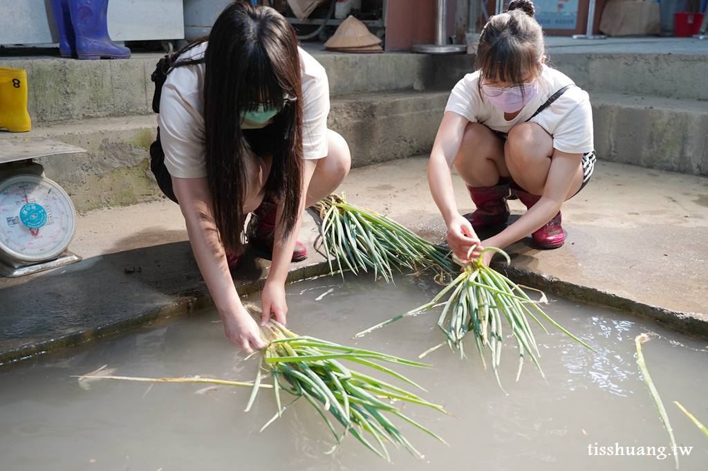 宜蘭星寶蔥體驗農場｜三星蔥派DIY體驗｜零距離餵食可愛的梅花鹿與小驢駒