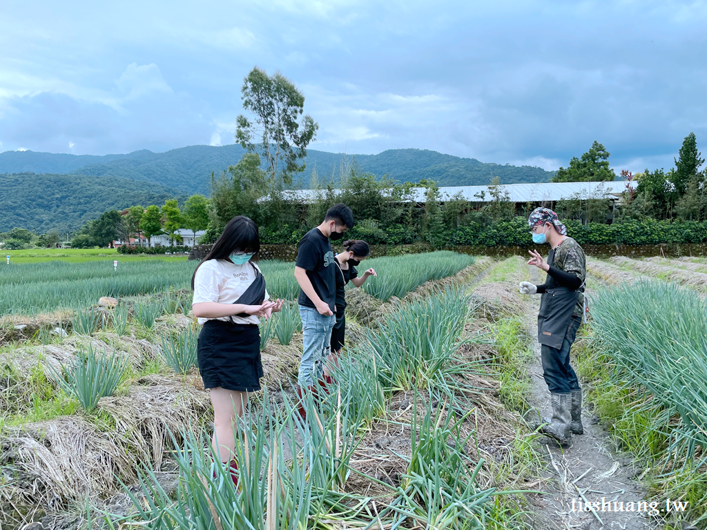 宜蘭星寶蔥體驗農場｜三星蔥派DIY體驗｜零距離餵食可愛的梅花鹿與小驢駒