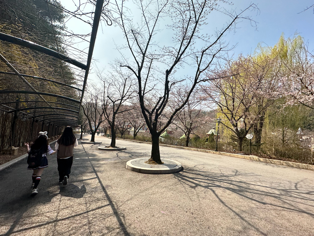 【韓國愛寶樂園】值得去玩嗎?一日遊攻略推薦必玩設施，門票優惠、交通及接送方式