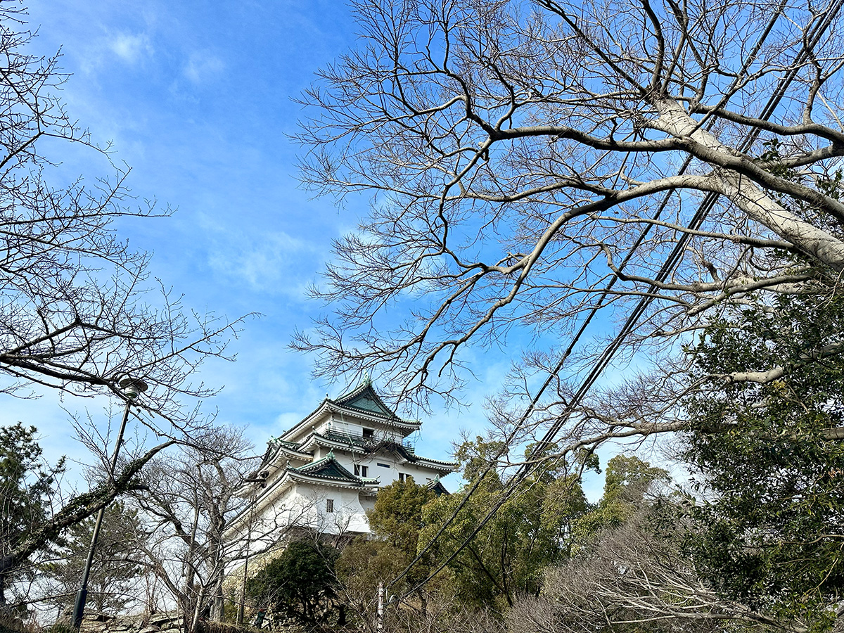 和歌山白濱一日遊