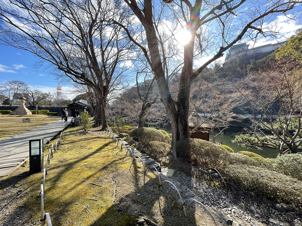 和歌山白濱一日遊