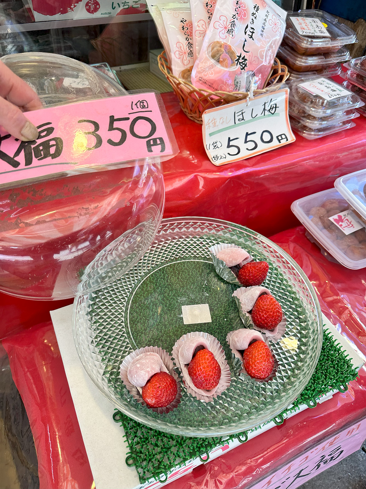 和歌山白濱一日遊