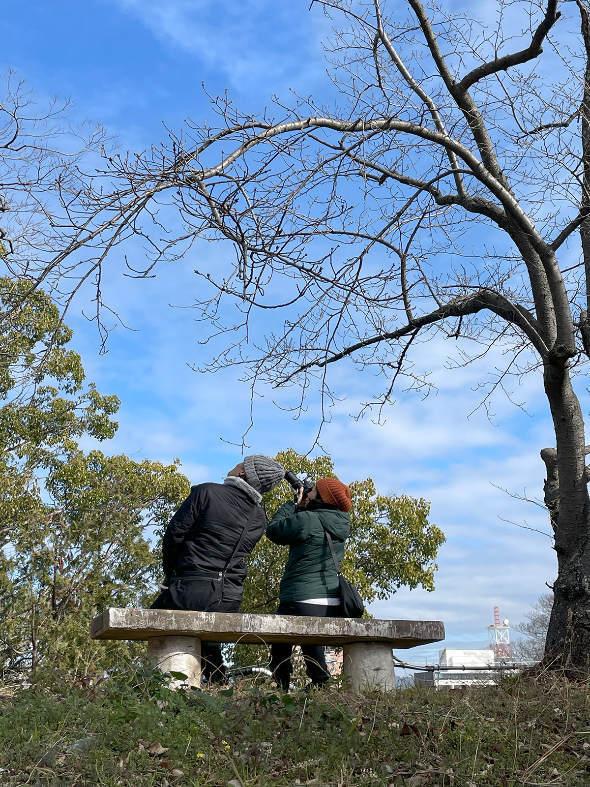 和歌山白濱一日遊