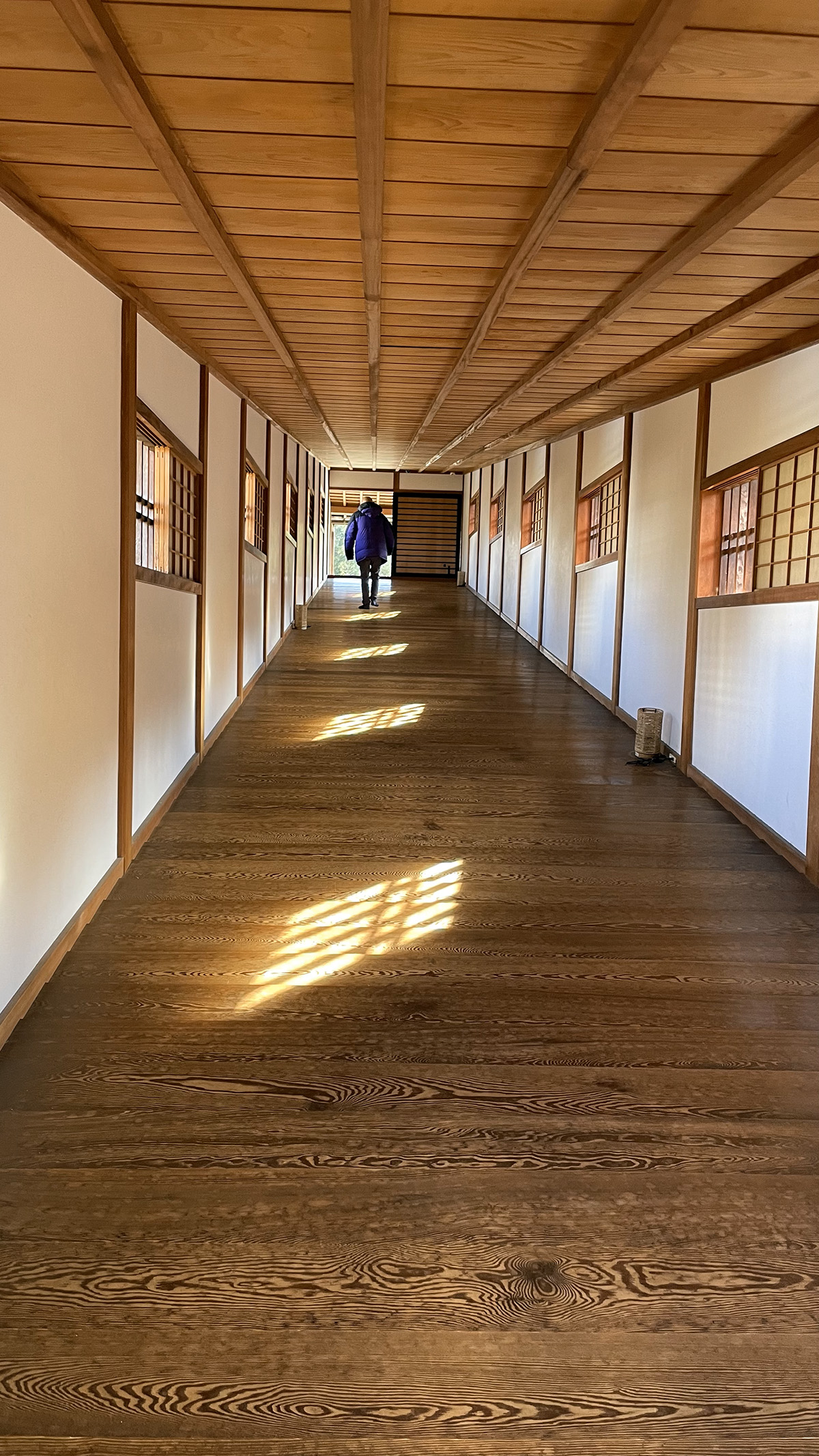 和歌山白濱一日遊