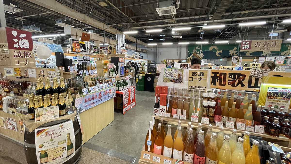 和歌山白濱一日遊