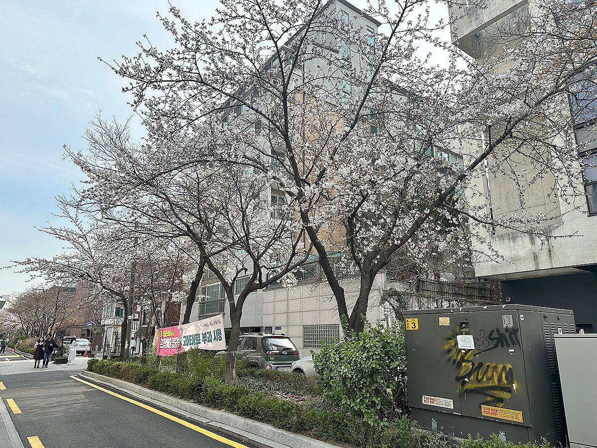 Parole & langue 延南洞下午茶