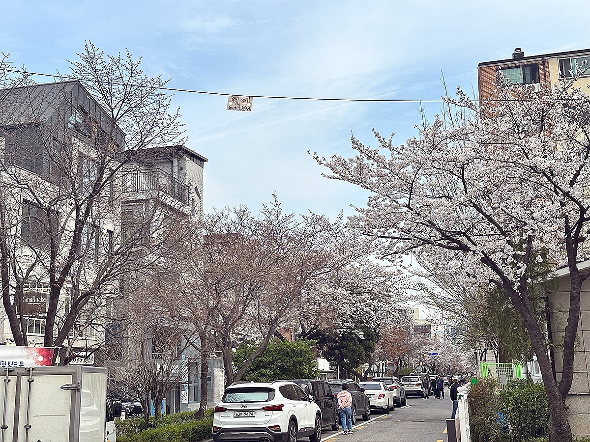 Parole & langue 延南洞下午茶